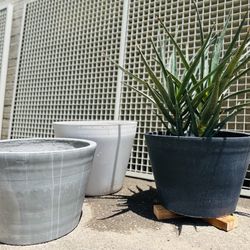 Modern Outdoor Concrete Planters 