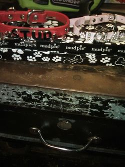 Petite dog collars and life jacket $30