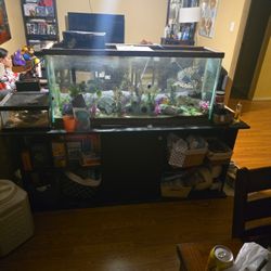 75 Gallon Tank And Stand