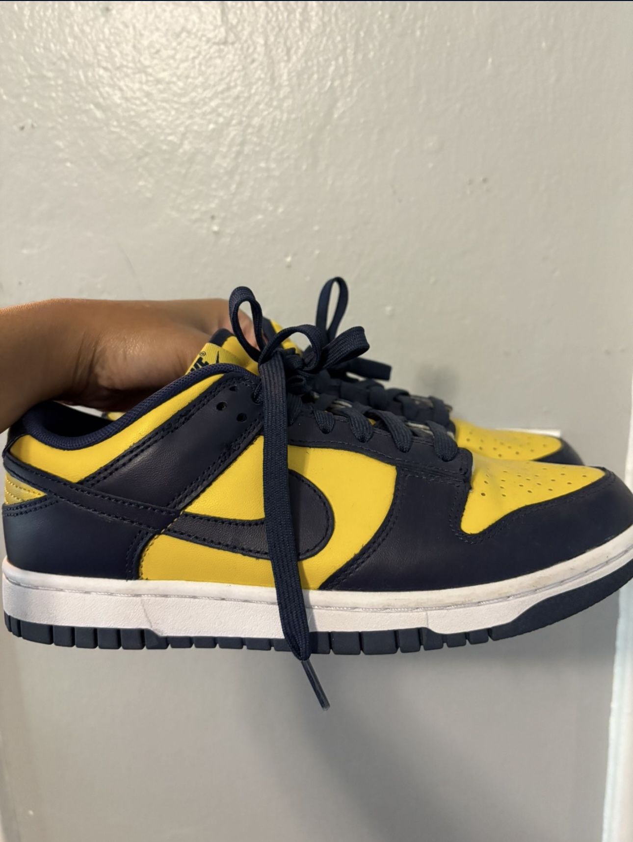 Nike Dunks Low / Michigans 6.5