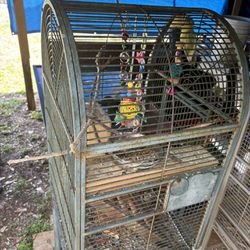 bird Cage