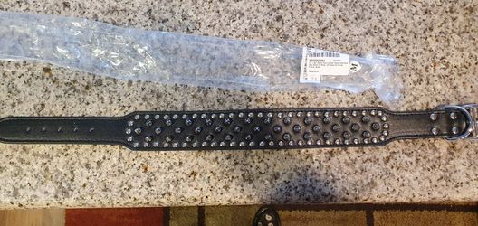 Spike Dog Collar