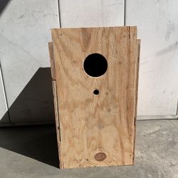 Indian-ring neck parrot Nest (Outside Cage)