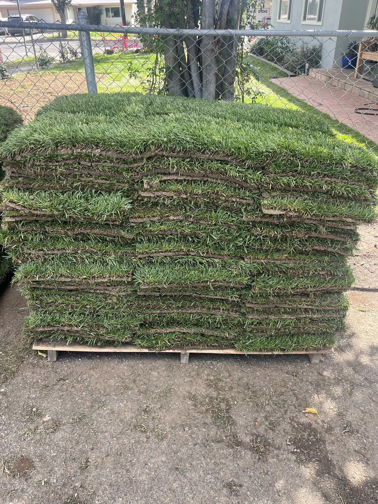 Grass / SOD Marathon 1