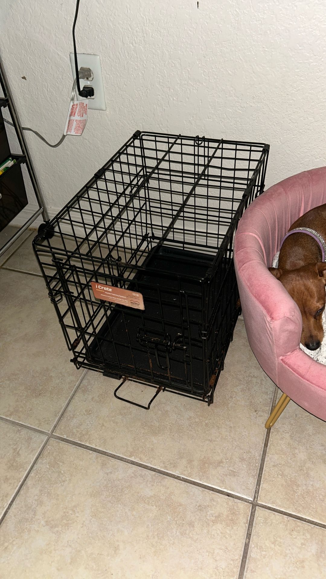 Small Dog Crate