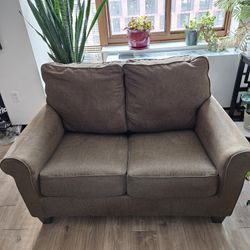 2 Seat Couch With Pull Out Bed