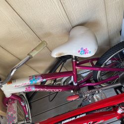 Bike For Girls 8+