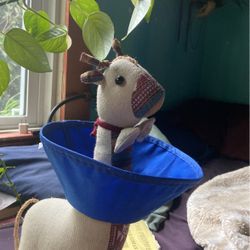 Elizabeth Collar Cone