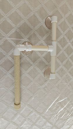 Shower perch for small or medium parrot