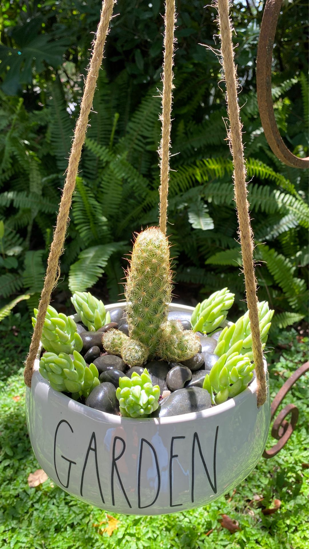 Succulent/cacti hanging planter