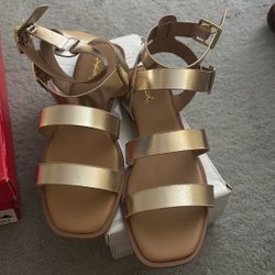 New Never Used / Gold sandals 