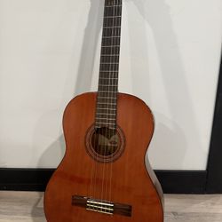 Acoustic Guitar 