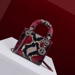Lady Dior Icon Bag
