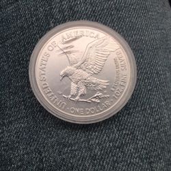 Silver .999 Walking Liberty 