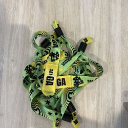 Lollapalooza Saturday GA