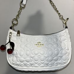 Coach Teri Bag
