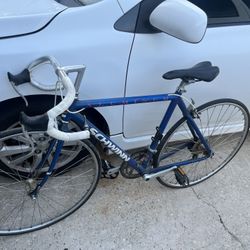 Bicycle /Bycicleta