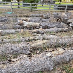 Free Firewood You Cut -Leavenworth