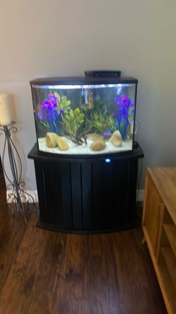Fish 🐠 tank.