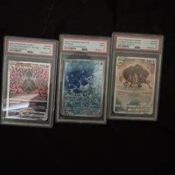 Pokémon Card Slabs
