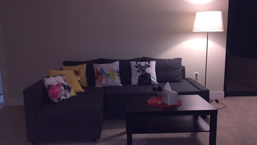 IKEA Sofa bed + coffee table + floor lamp