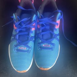 Men’s Nike LeBron Size 11