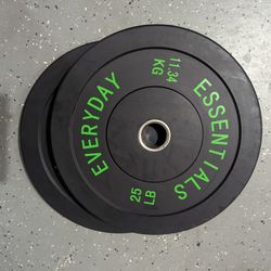25lbs Plates (2)