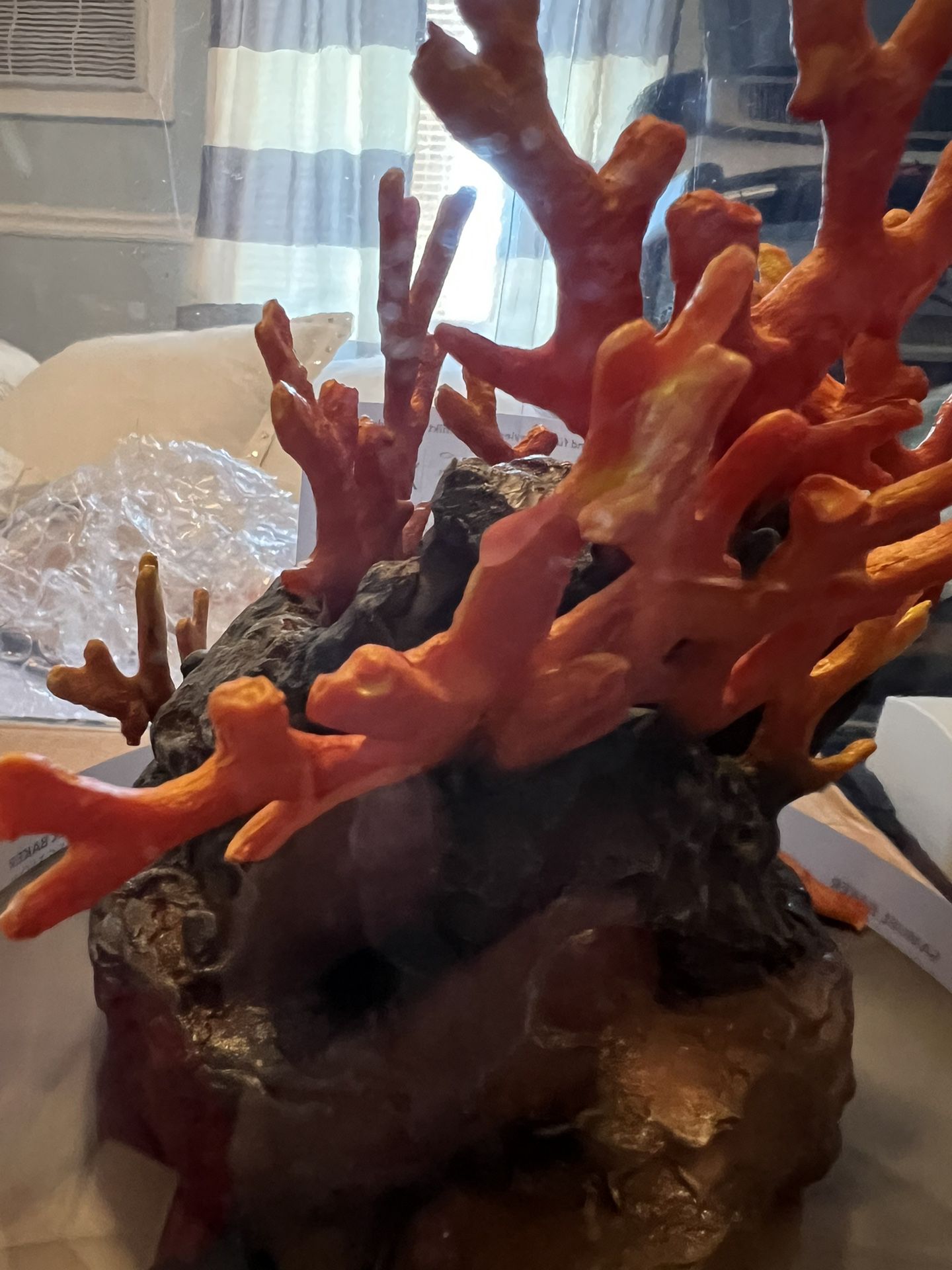 特別価格biOrb 46123.0 Lava Rock with Fire Coral Ornament Aquariums