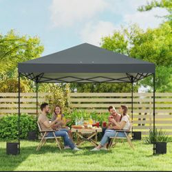 Canopy 12x12