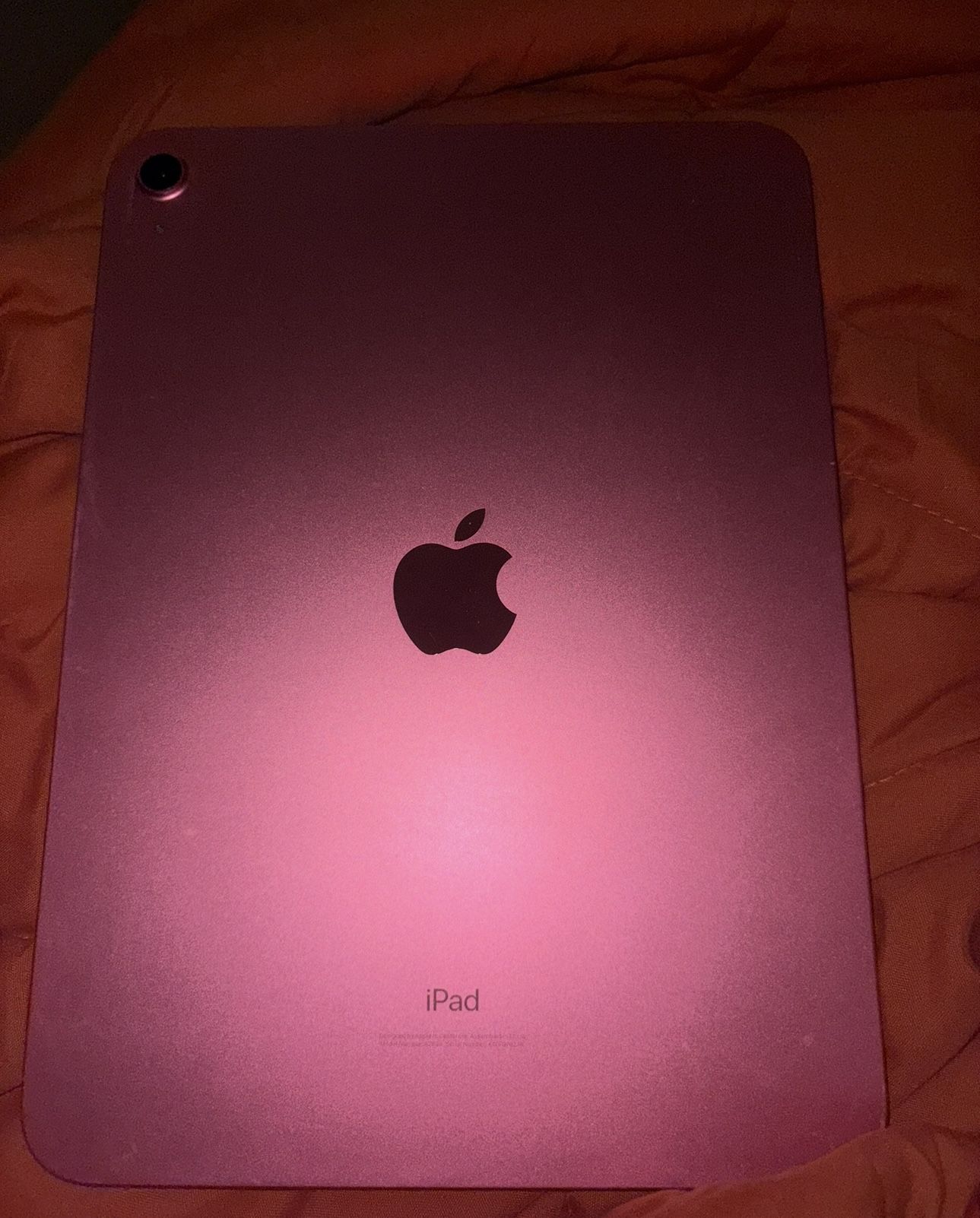 10th Generation Ipad Pink