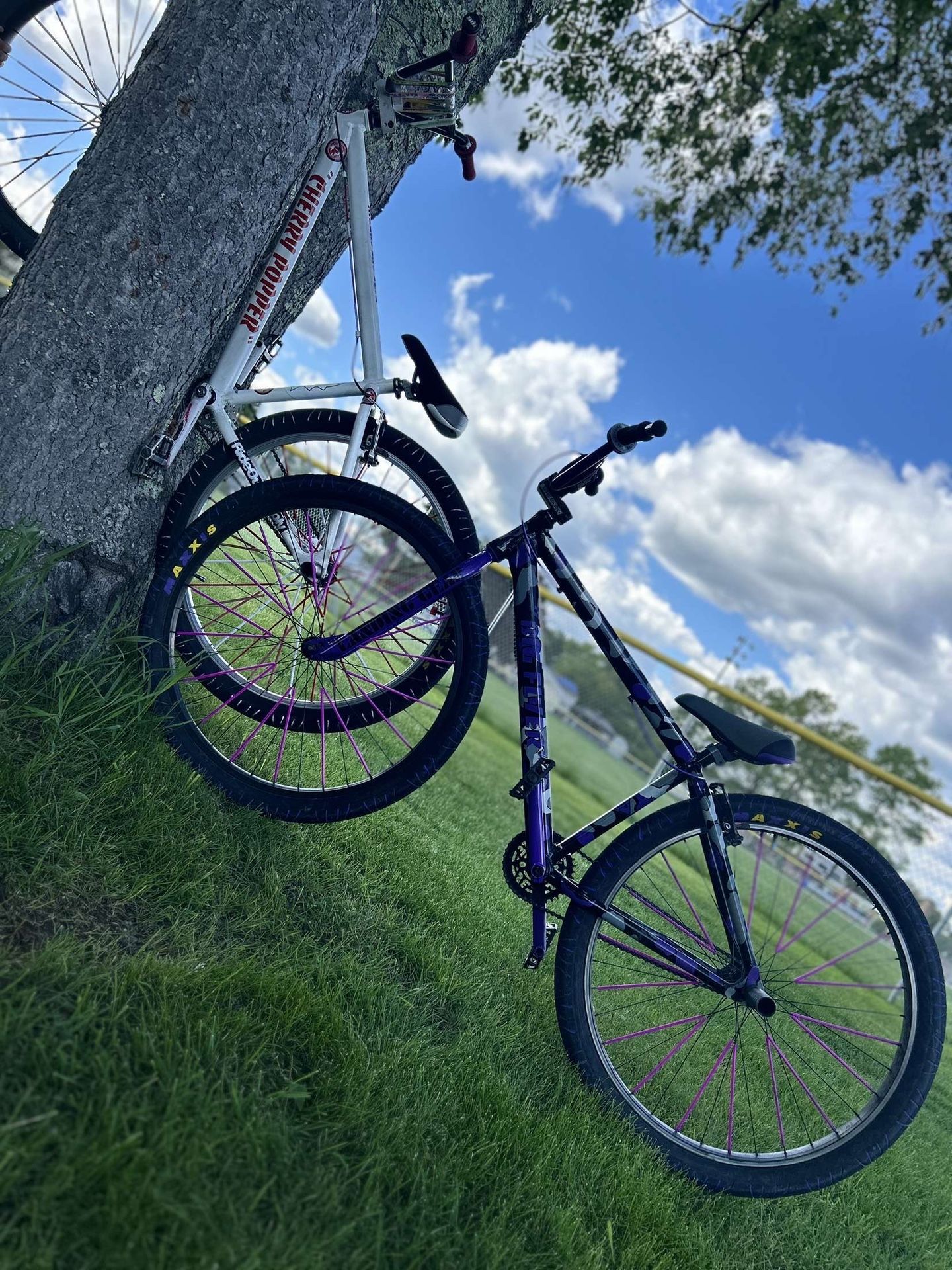 SE Bikes “29” Purple Camo