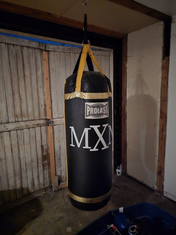 Punching Bag