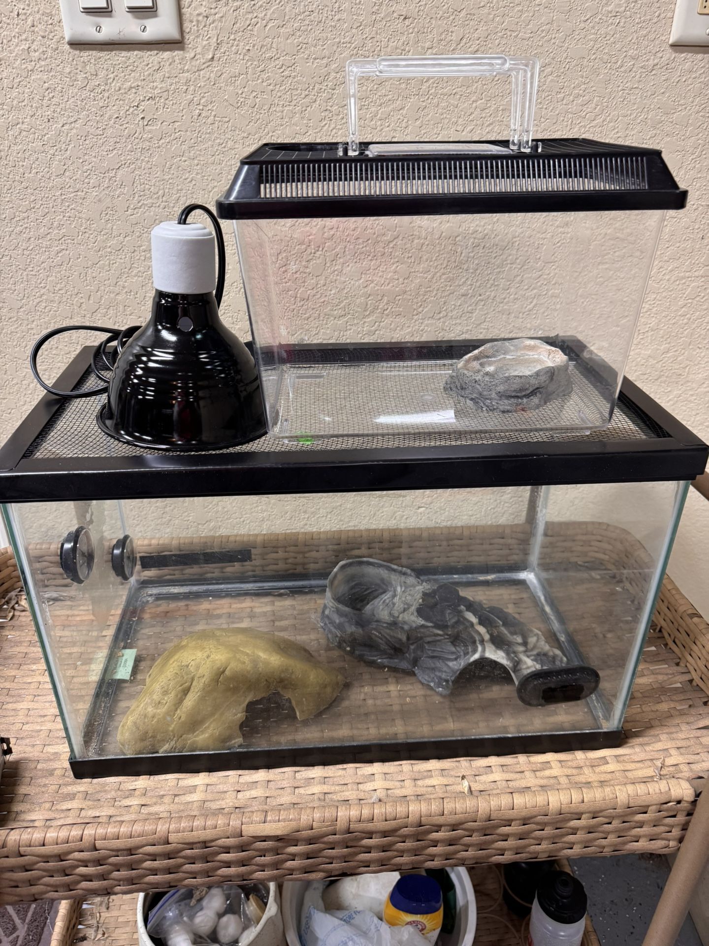 Terrarium 10 “x 20” x12.5”