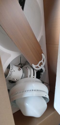 White Ceiling Fan