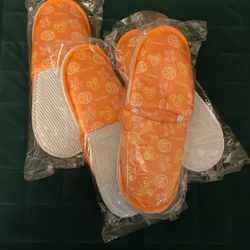 Disneyland Tokyo Slippers