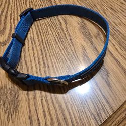 Blue dog collar