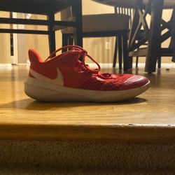 Nike Zoom Hyper Speed Court