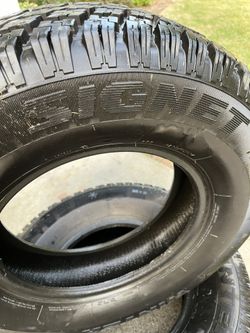 Signet Winter Trax  Mud And Snow Tire With Studs