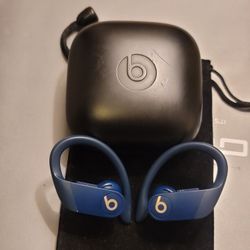Powerbeats Pro Headphones