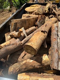 Large Lot of Cut Logs and Wood