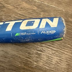 Youth Baseball Bat 28”