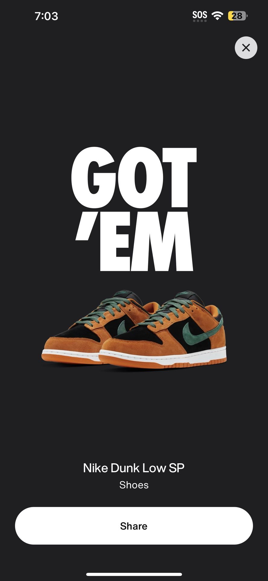Nike Dunks Ceramic