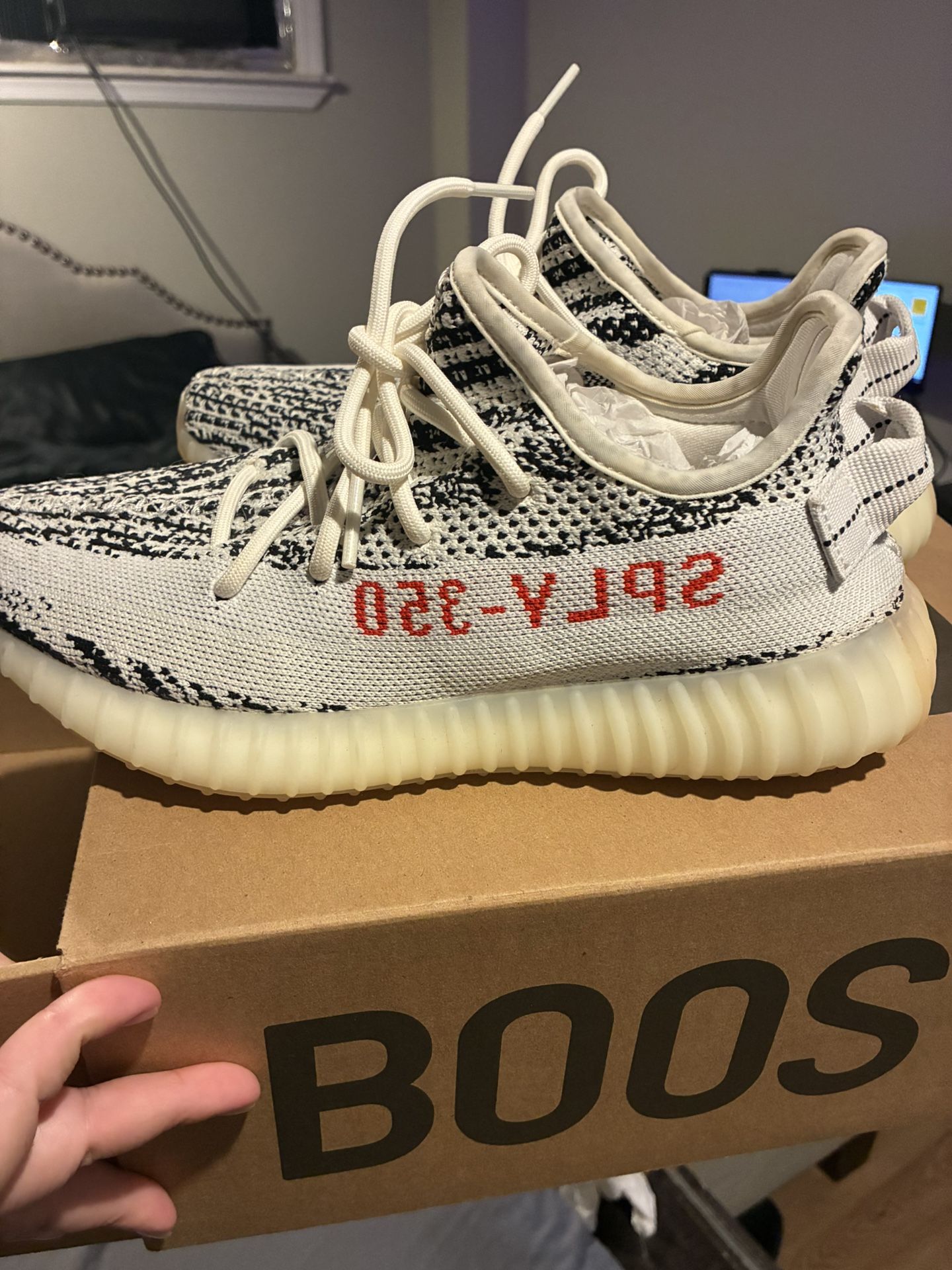Yeezy Zebras Size 7
