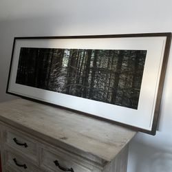 Rob Brinson Signed Fine Art Photography Limited Ed. 1/25 Panoramic Forest 56"