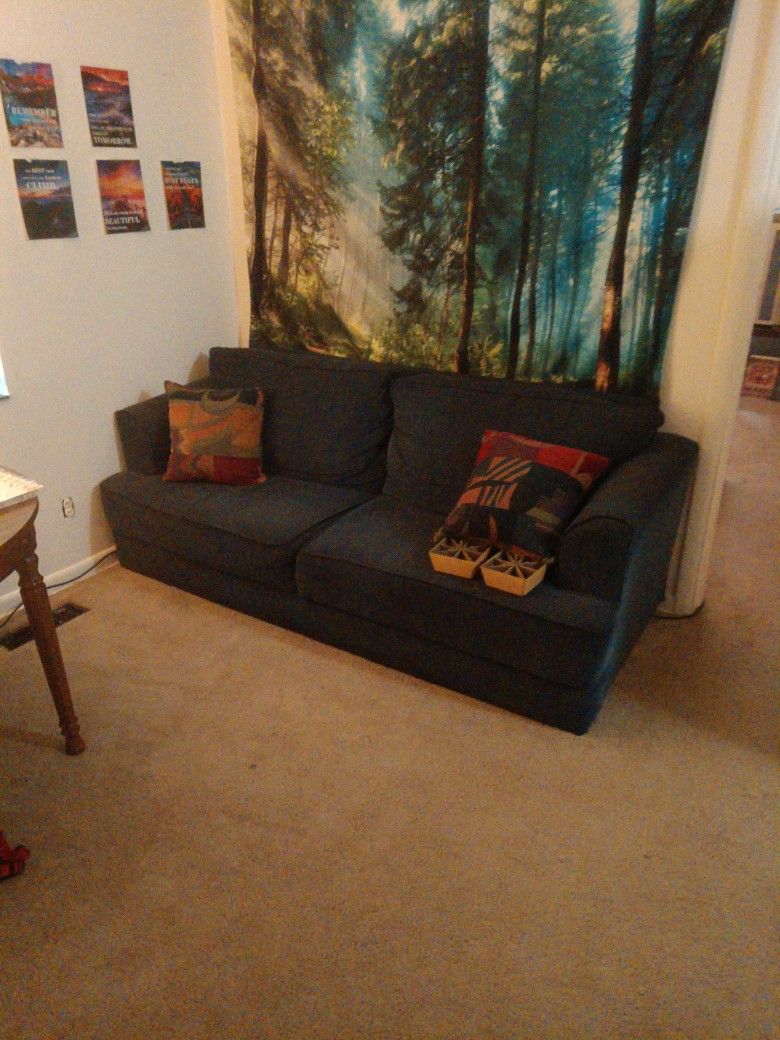 Midnight Blue Couch.