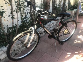 Three: Green Women’s Liv Simple Single Cruiser And Schwinn Ruler Bike In Excellent Condition, And 24” Wheel Multi-speed diamond