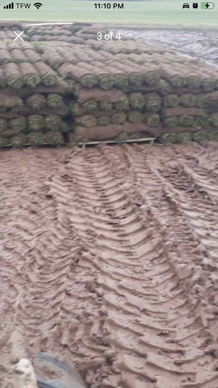 Fresh Sod
