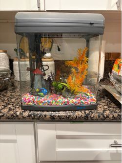 Fish tank