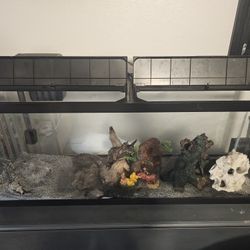 55 Gal. Fisk Tank Set-up