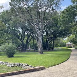 Lawn Service And Landscape 